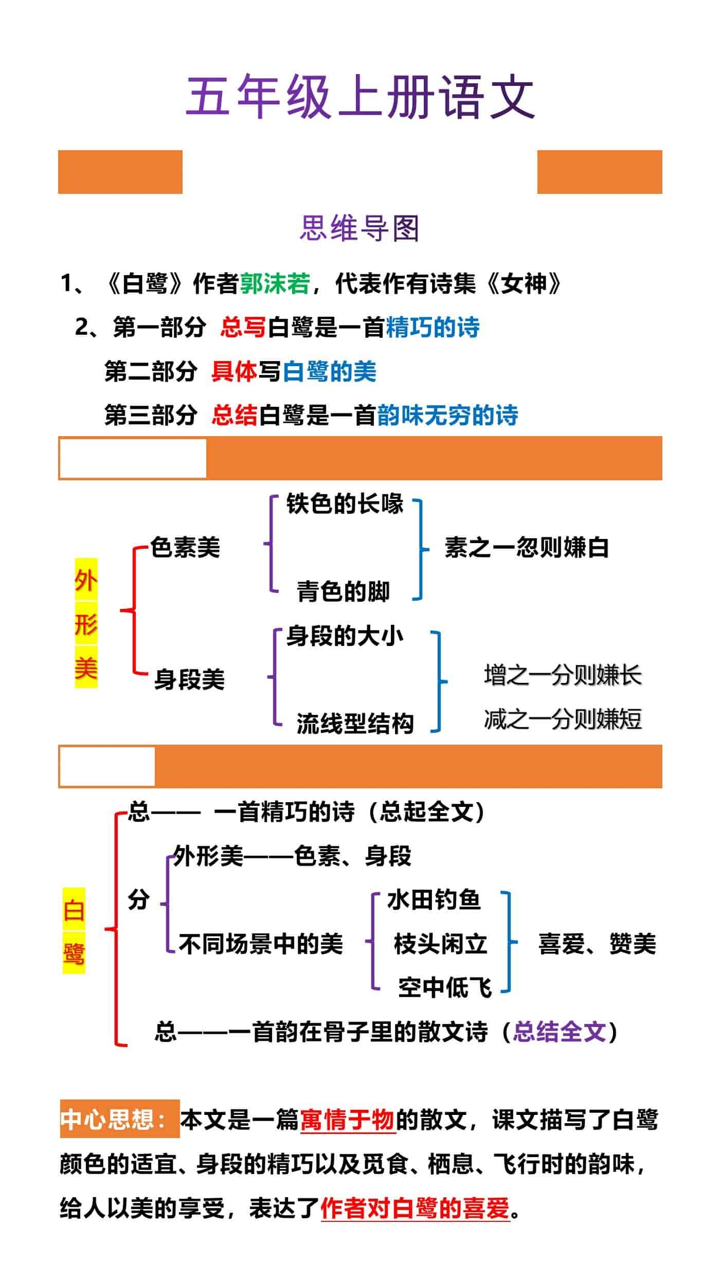 五年级上册语文课文1 《白鹭》重点笔记整理