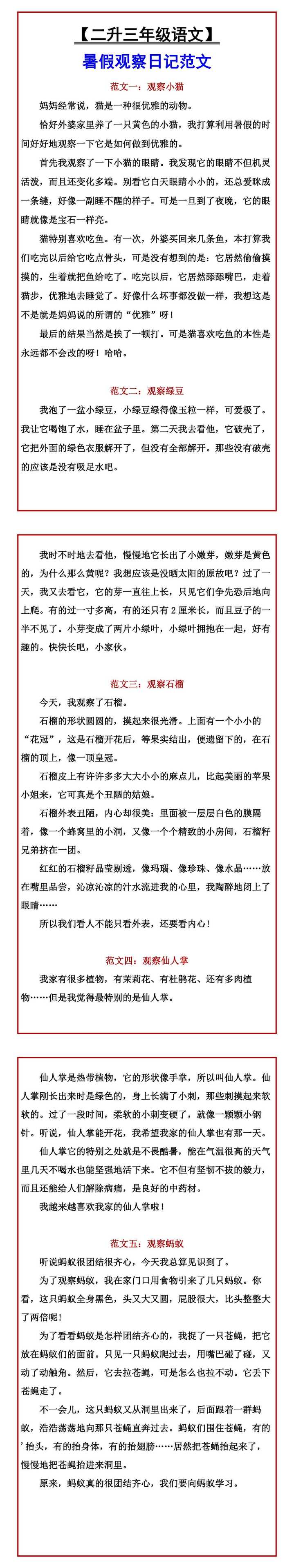 二升三年级语文暑假观察日记范文