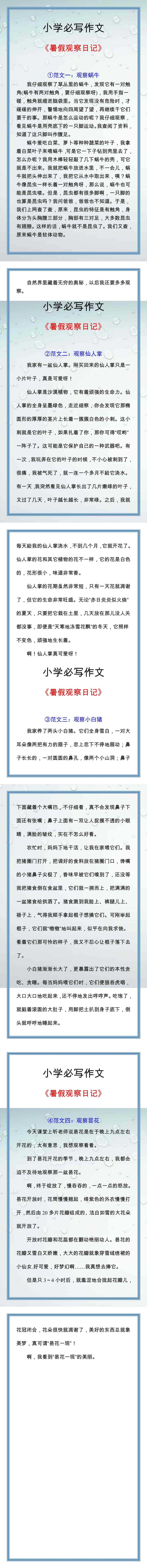 四升五暑假作文《暑假观察日记》