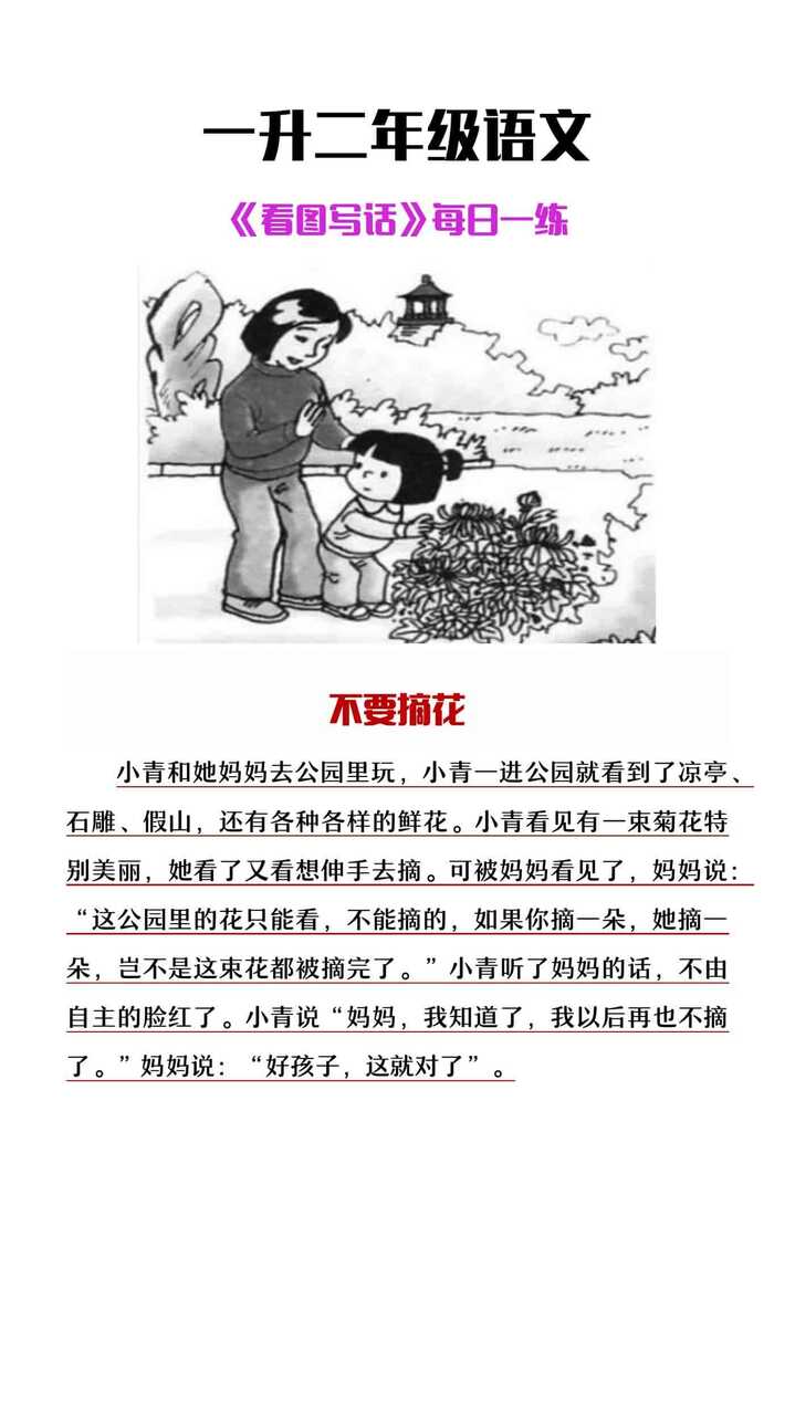 一升二年级语文看图写话每日一练《不要摘花》