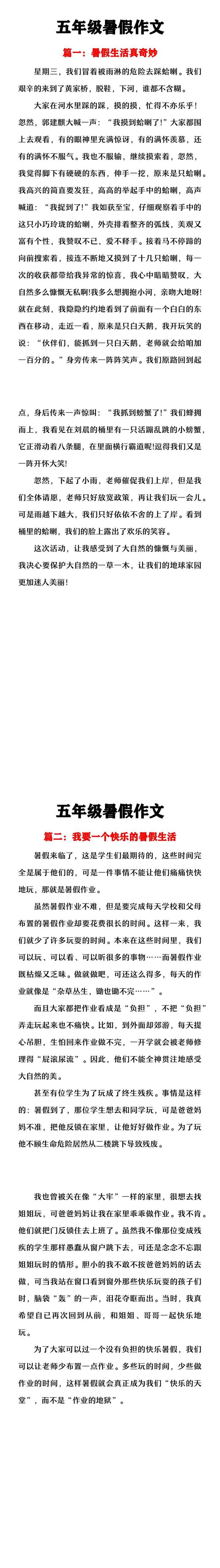 五年级暑假作文