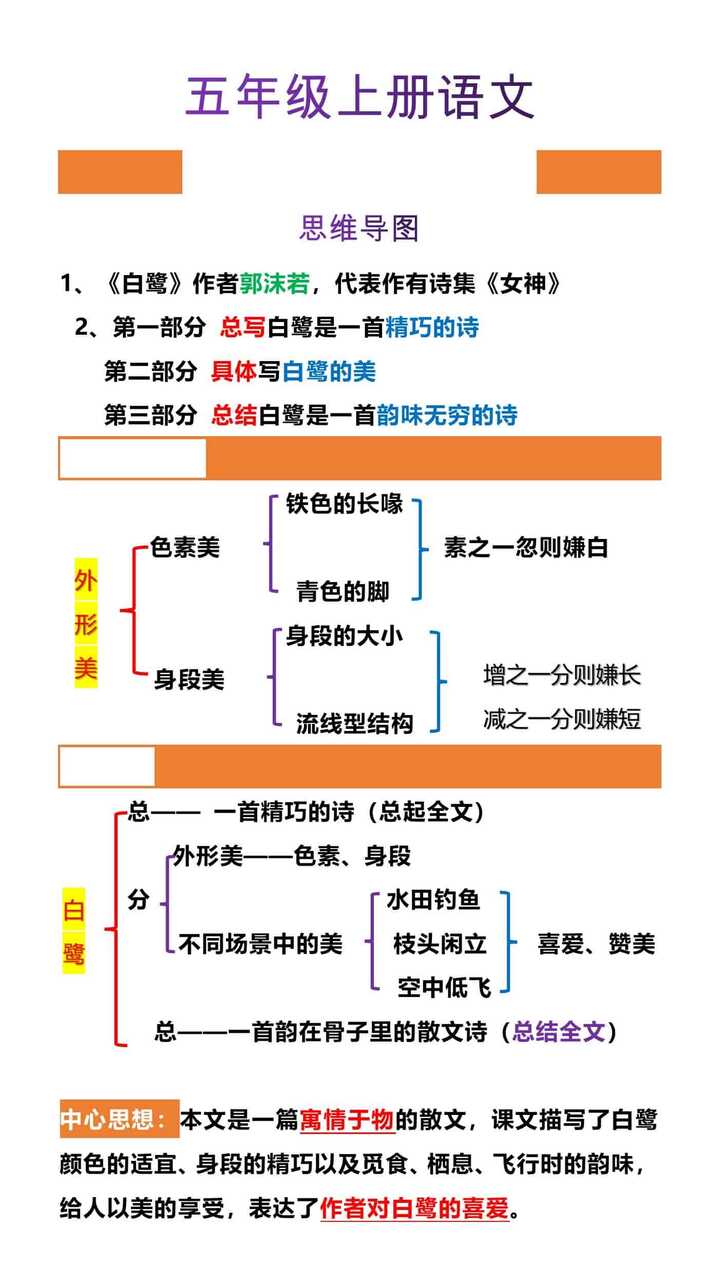 五年级上册语文课文1 《白鹭》重点笔记整理