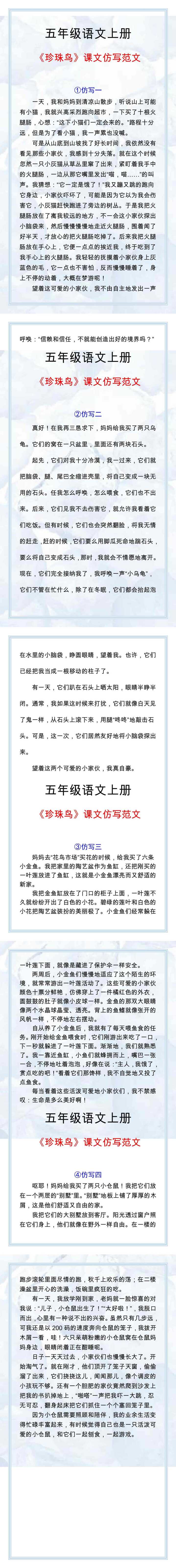 五年级语文上册《珍珠鸟》课文仿写