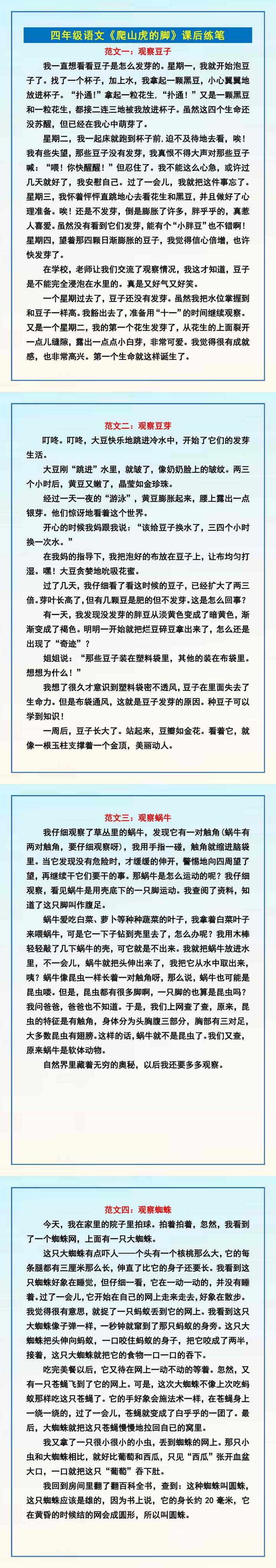 四年级语文《爬山虎的脚》课后练笔