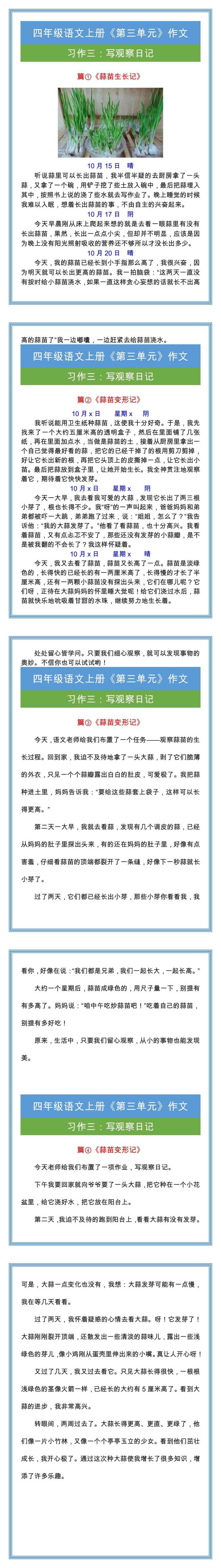 四年级上册习作三《蒜苗生长记》观察范文四篇！