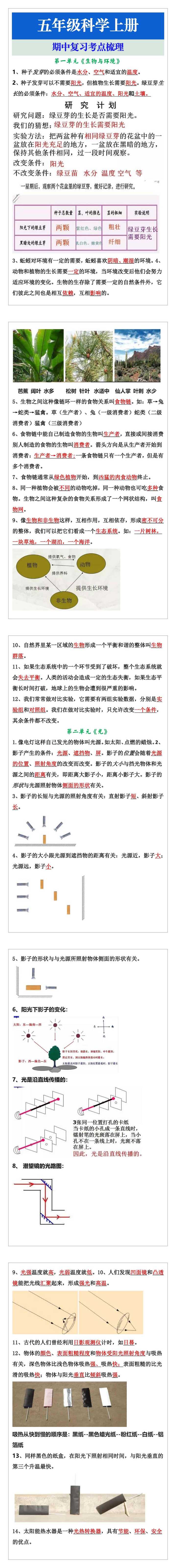 五年级科学上册 期中复习考点梳理