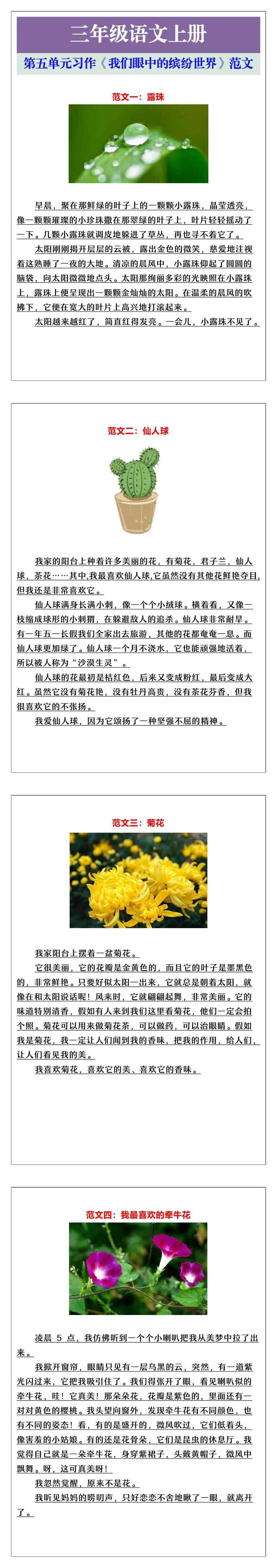 三年级语文上册第五单元习作《我们眼中的缤纷世界》范文参考