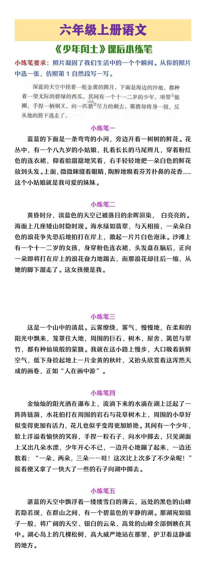 六年级上册语文《少年闰土》课后小练笔