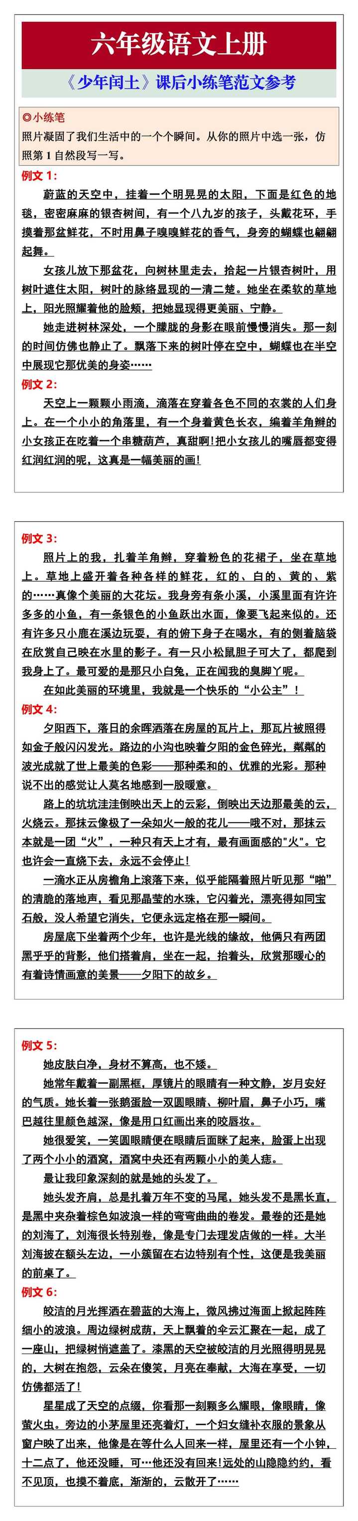 六年级语文上册《少年闰土》课后小练笔范文参考