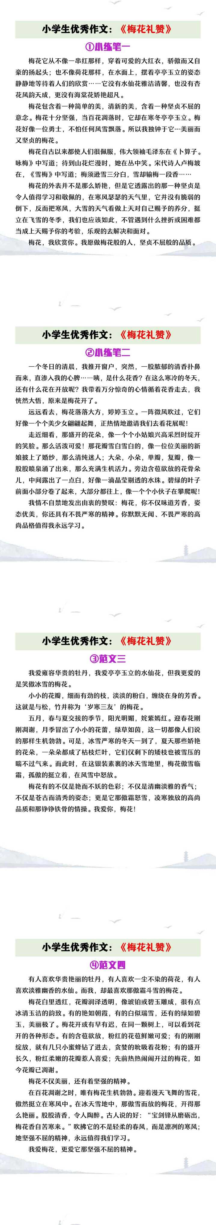 小学生优秀作文《梅花礼赞》
