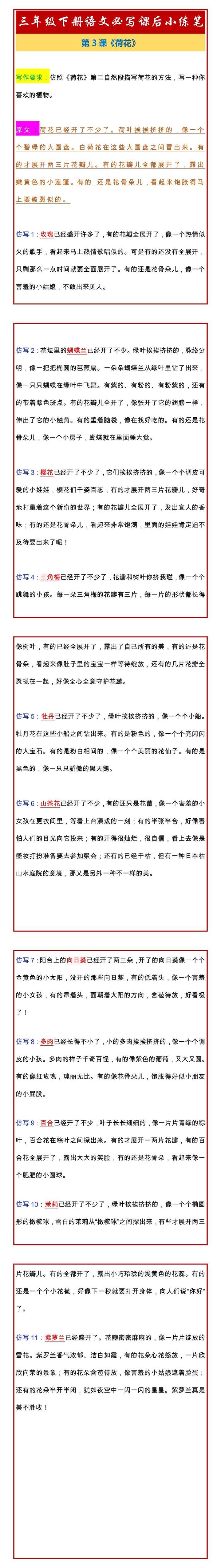 三年级下册语文《荷花》必写课后小练笔