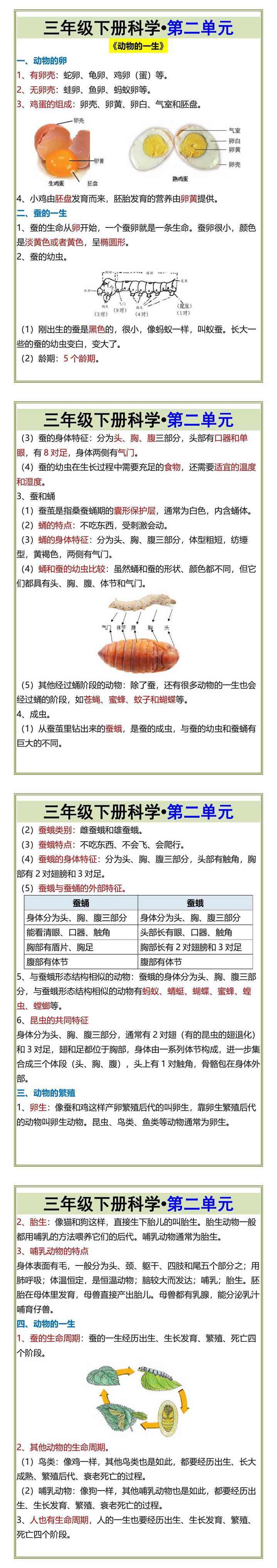 三年级下册科学第二单元
