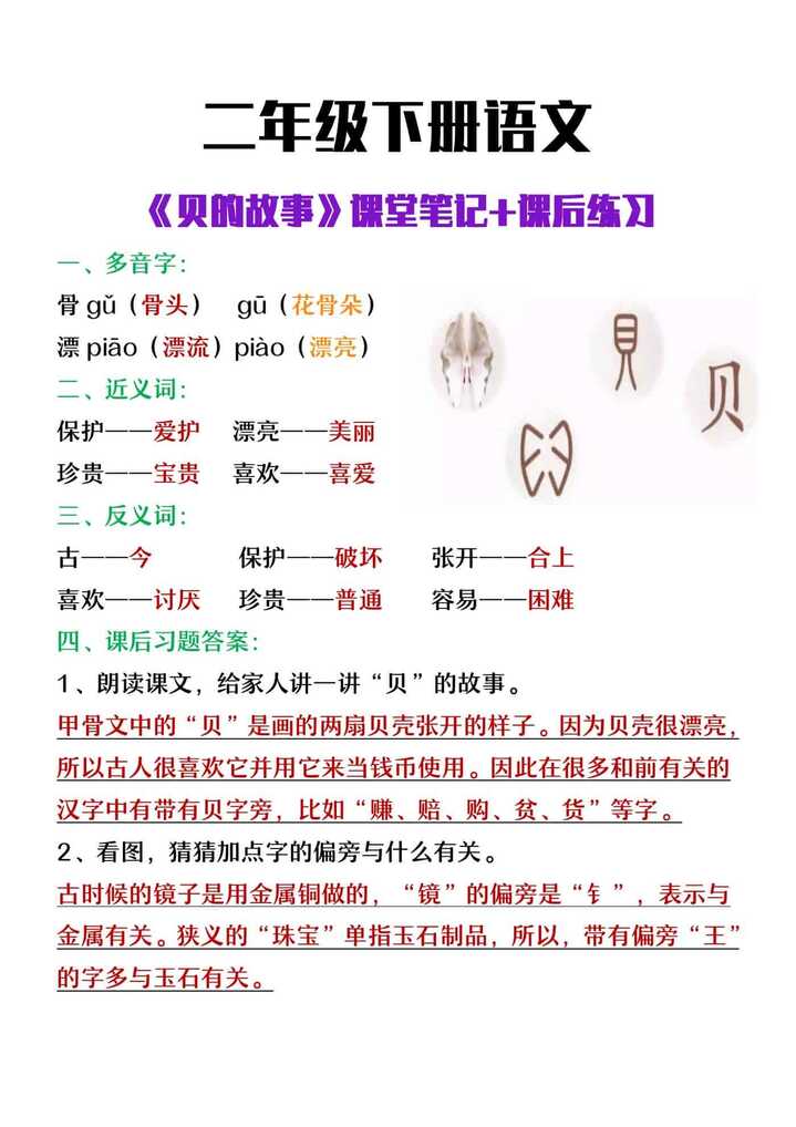 二年级下册语文《贝的故事》课堂笔记及课后练习