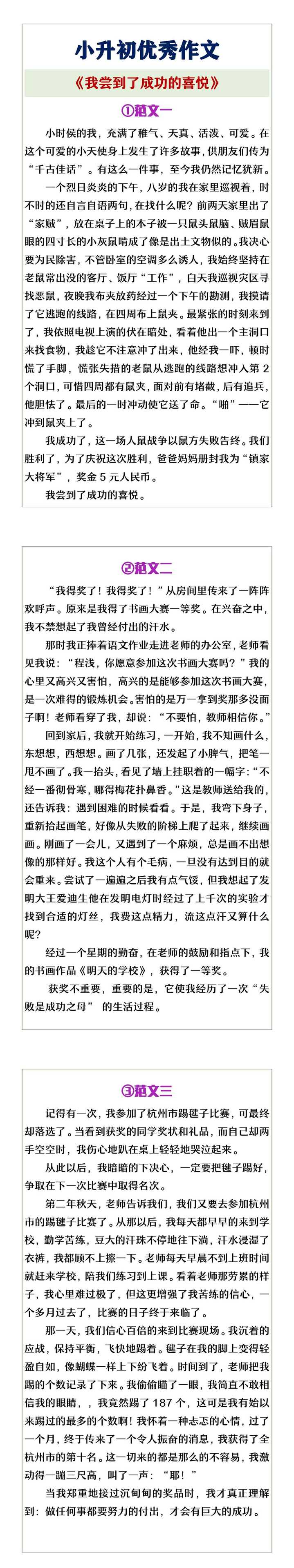 小升初优秀作文《我尝到了成功的喜悦》