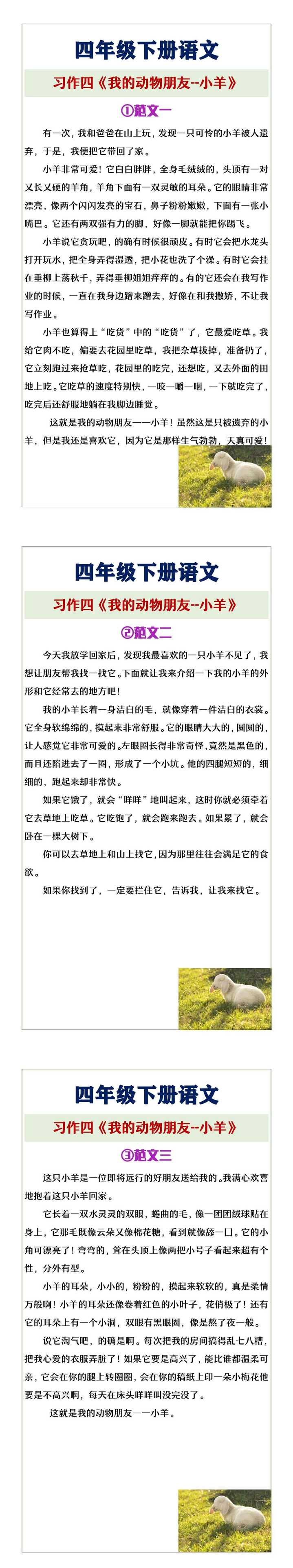 四年级下册语文习作四《我的动物朋友--小羊》