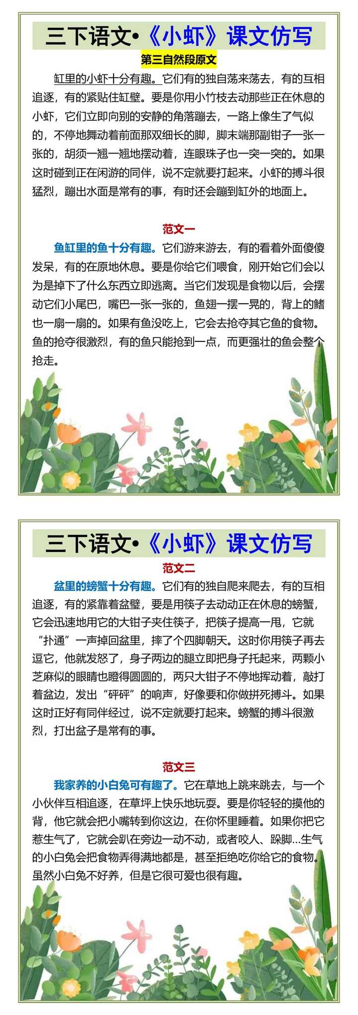 三下语文•《小虾》课文仿写