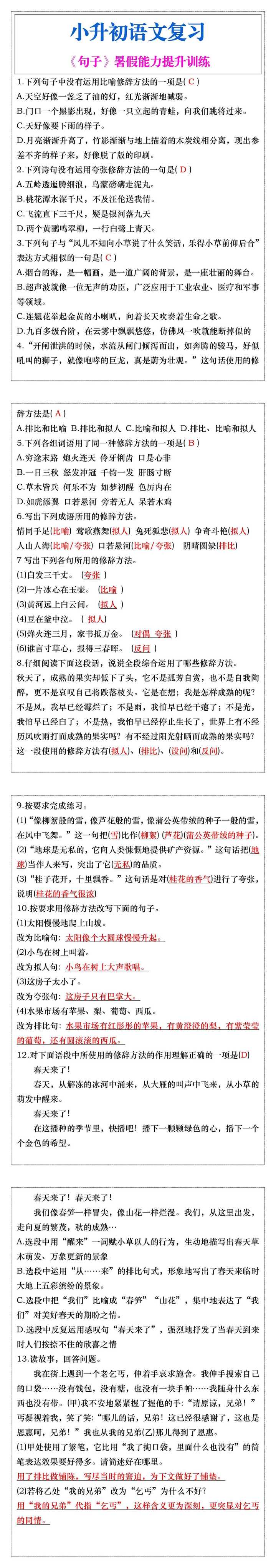 小升初语文《句子》暑假能力提升训练