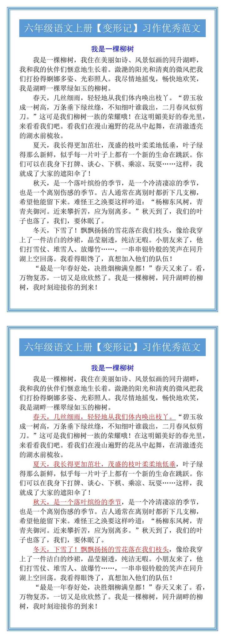 六年级语文上册【变形记】习作优秀范文