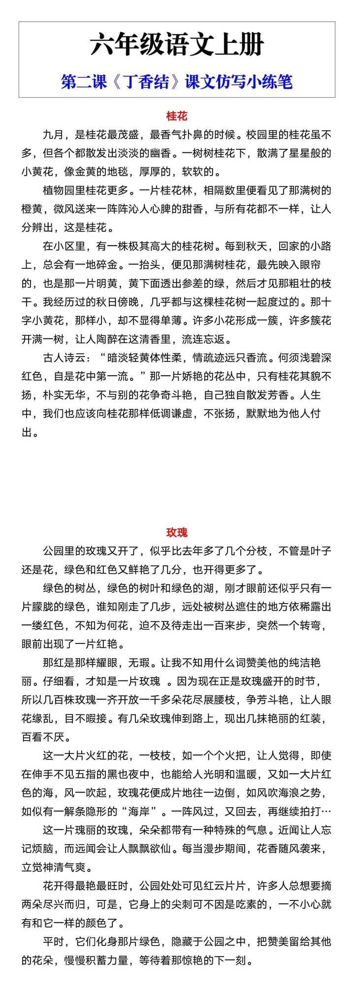 六年级语文上册第二课《丁香结》仿写小练笔 六年级语文上册第二课《丁香结》仿写小练笔