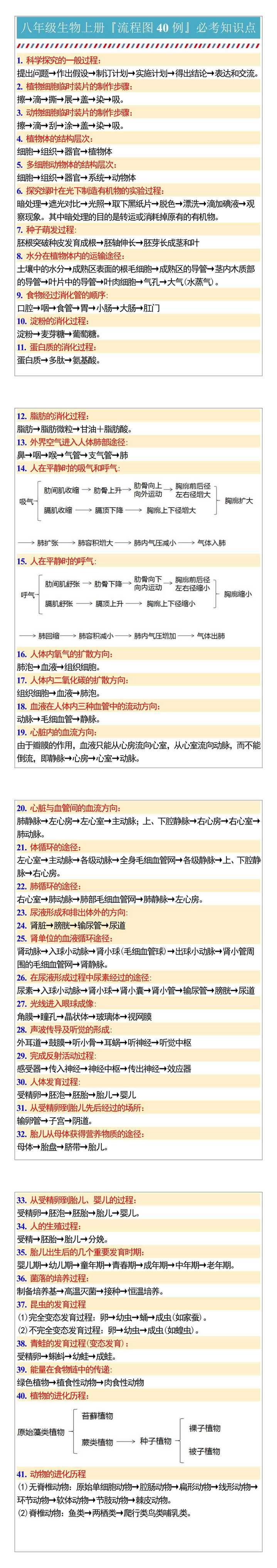 八年级生物上册『流程图40例』必考知识点