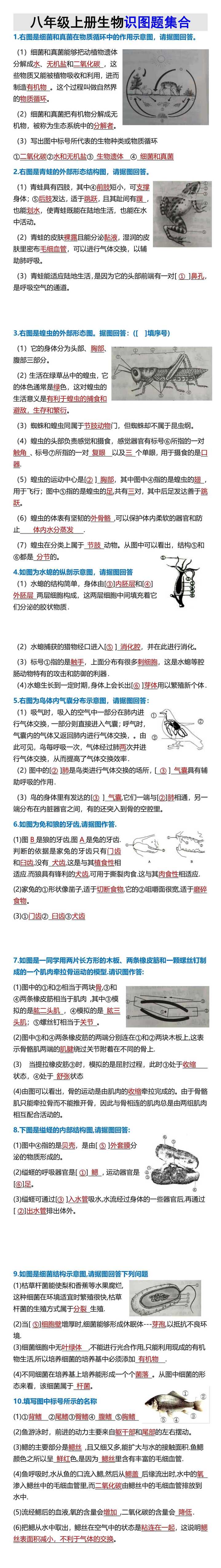 八年级上册生物识图题集合