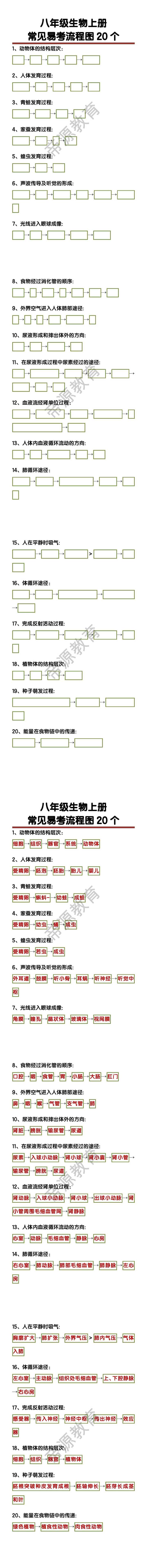 八年级生物上册常见易考流程图20个