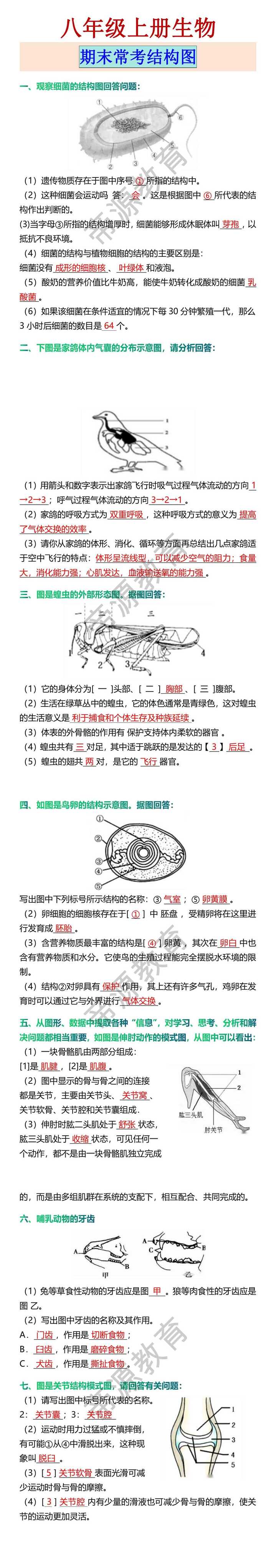 八年级上册生物 期末常考结构图