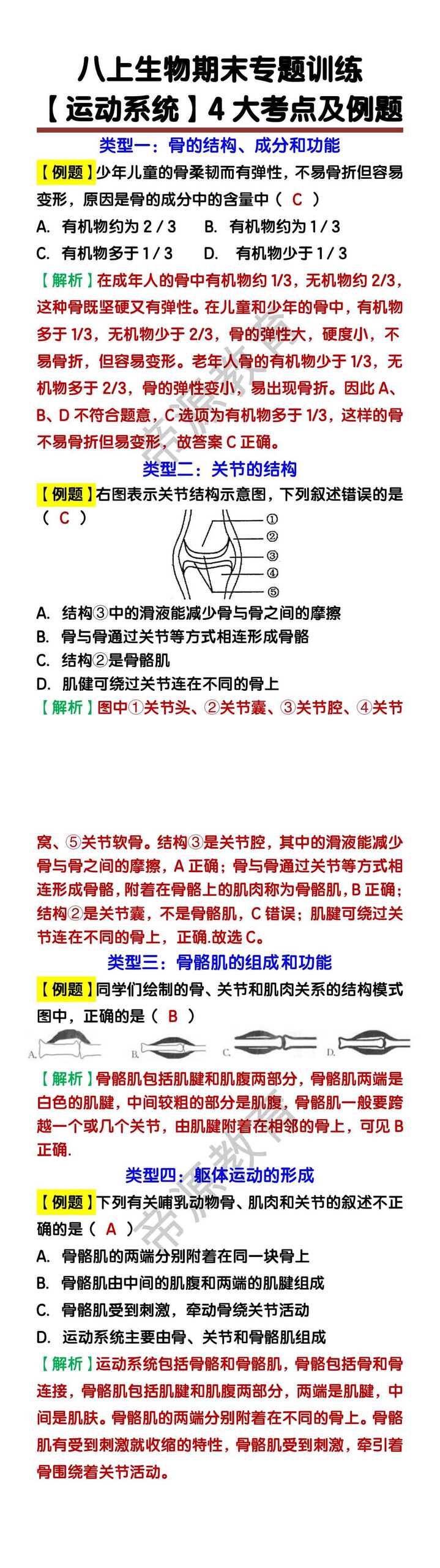 八上生物【运动系统】4大考点及例题