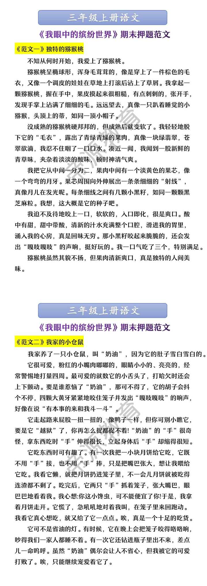 三年级上册语文 《我眼中的缤纷世界》期末押题范文