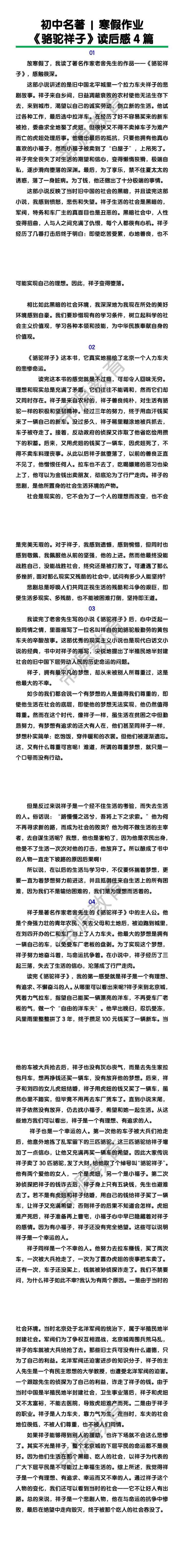 七下语文《骆驼祥子》读后感4篇