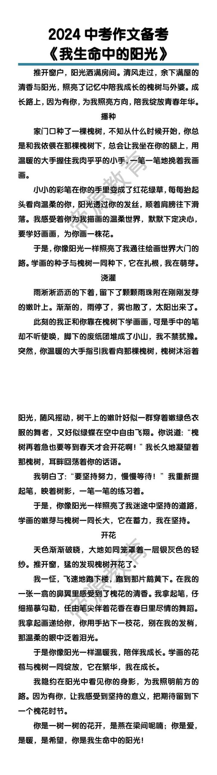 中考作文备考《我生命中的阳光》
