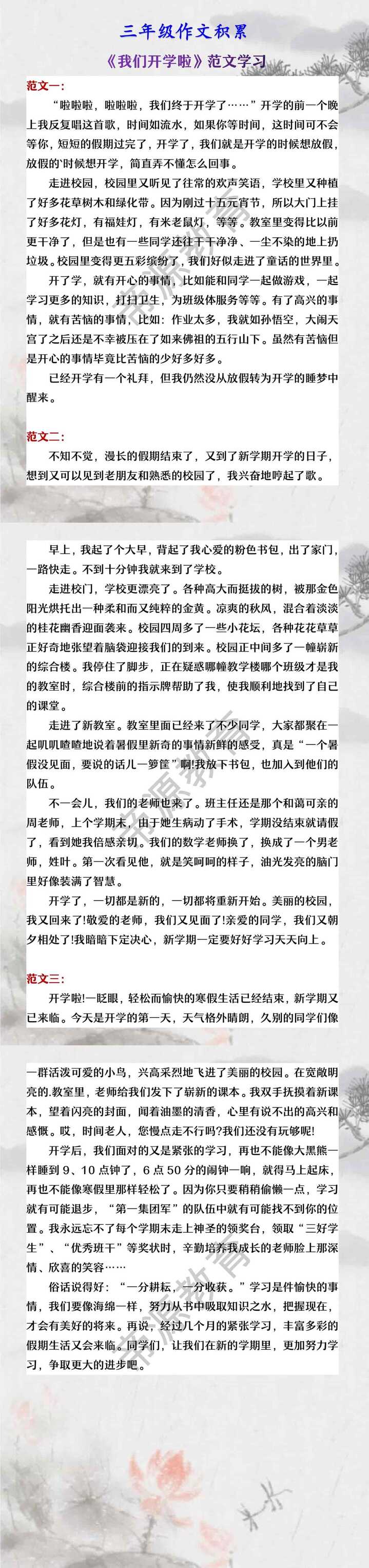 三年级作文积累 《我们开学啦》