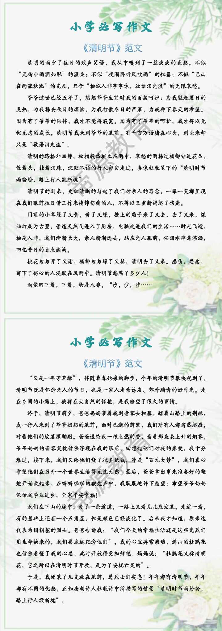 小学必写作文 《清明节》范文