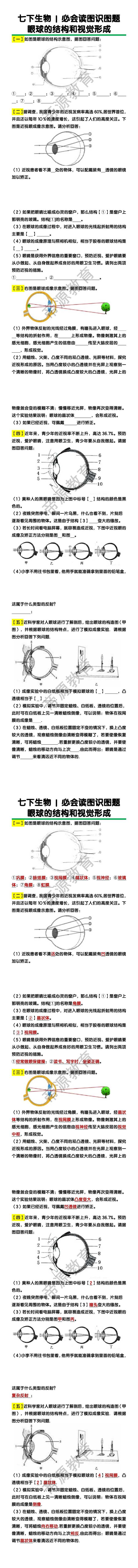 七下生物必会读图识图题：眼球的结构和视觉形成练习题