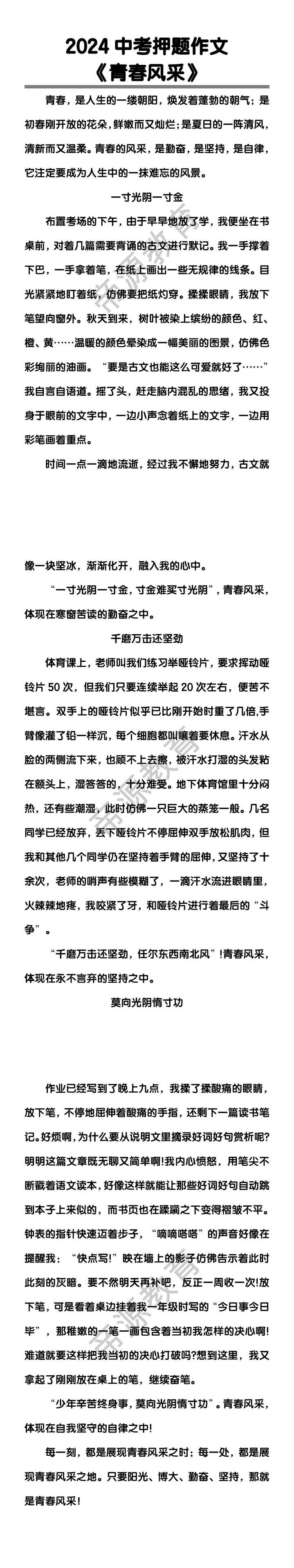 中考押题作文《青春风采》