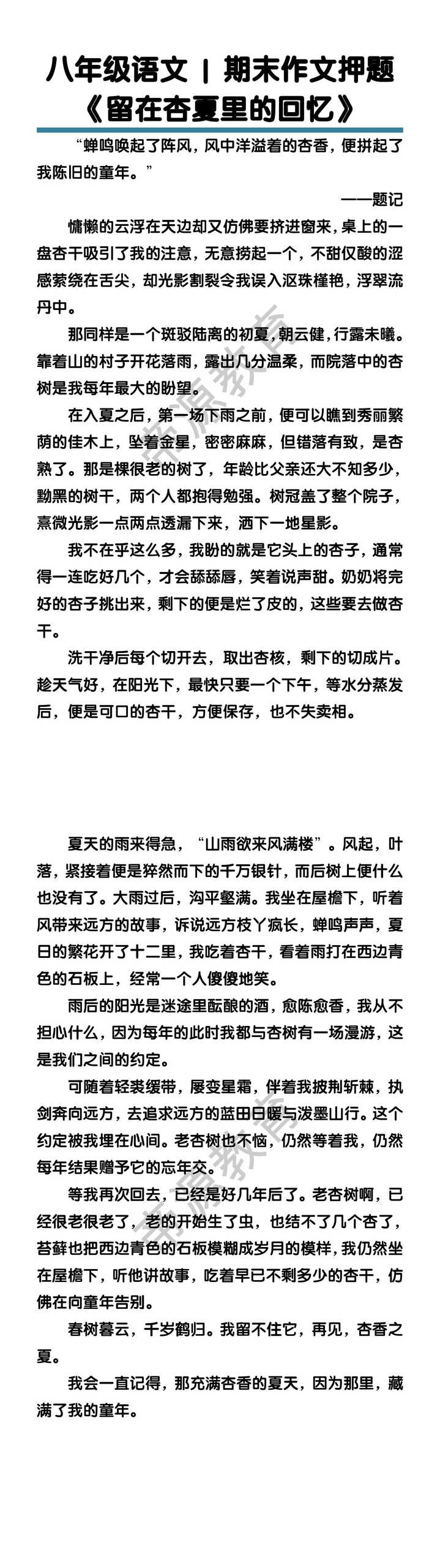八年级语文期末 期末作文押题《留在杏夏里的回忆》