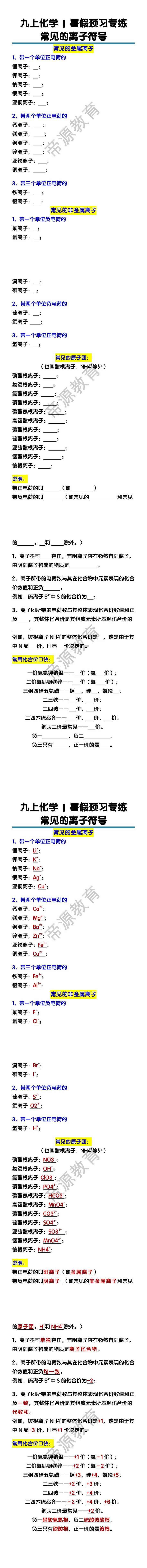 九上化学暑假预习专练：常见的离子符号