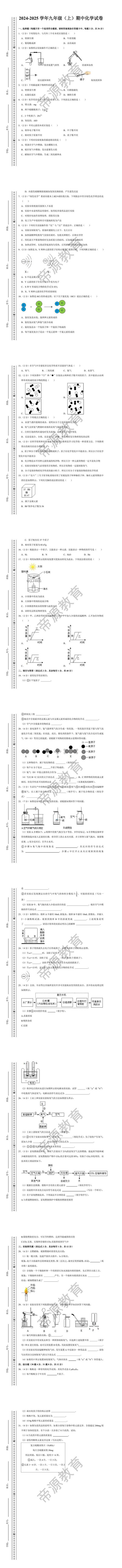 2024-2025学年九年级上学期期中化学试卷