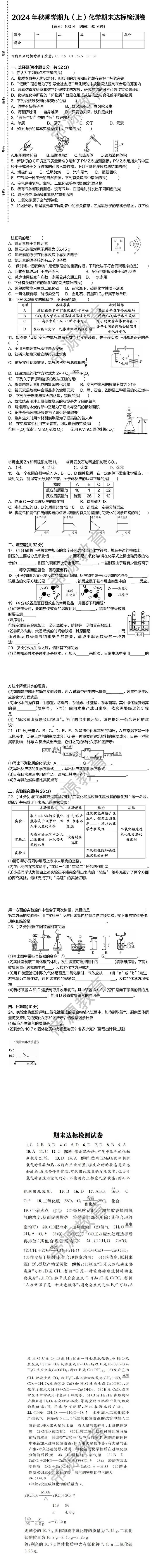 2024年秋季学期九（上）化学期末达标检测卷