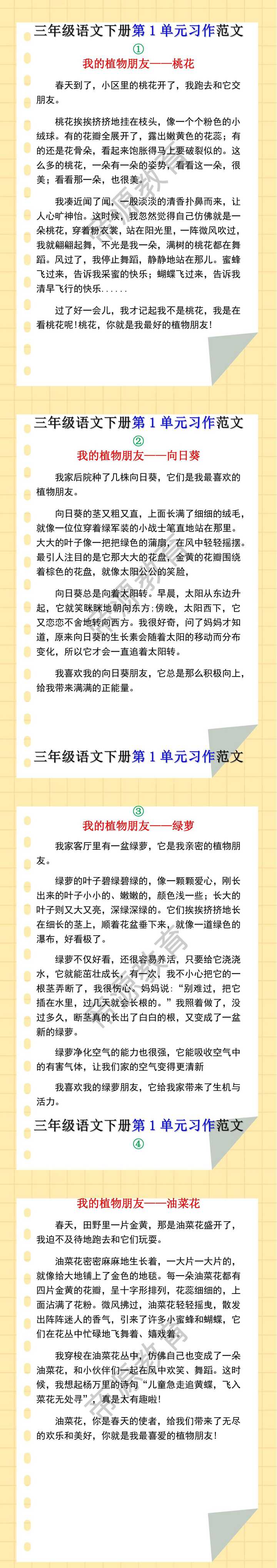 三年级语文下册第一单元我的植树朋友同步作文范文