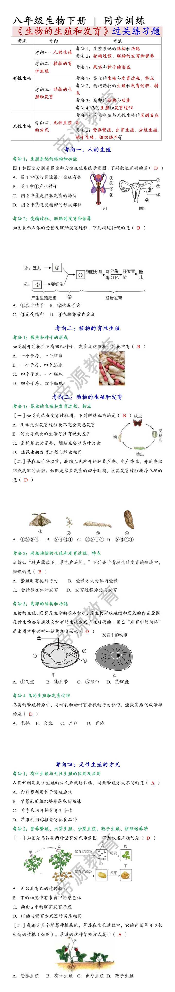 八年级生物下册 | 同步训练《生物的生殖和发育》过关练习题