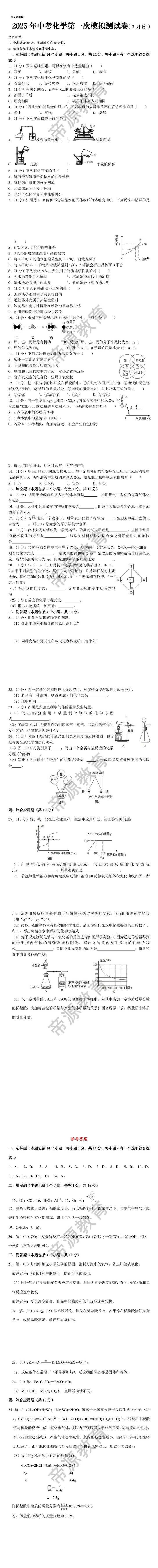 2025年中考化学第一次模拟测试卷（3月份）