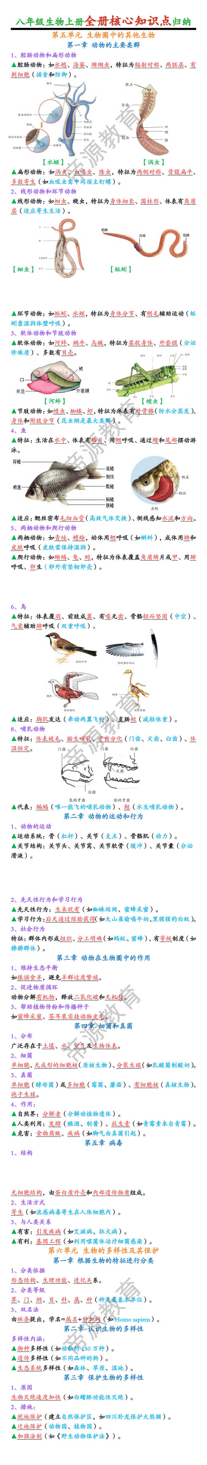八年级生物上册全册核心知识点归纳