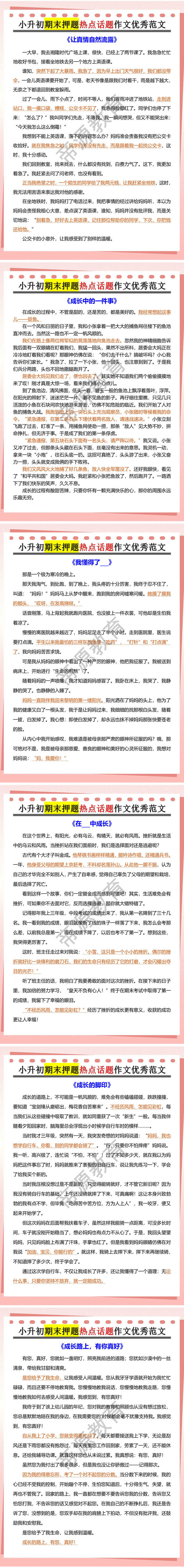 小升初期末押题热点话题作文优秀范文