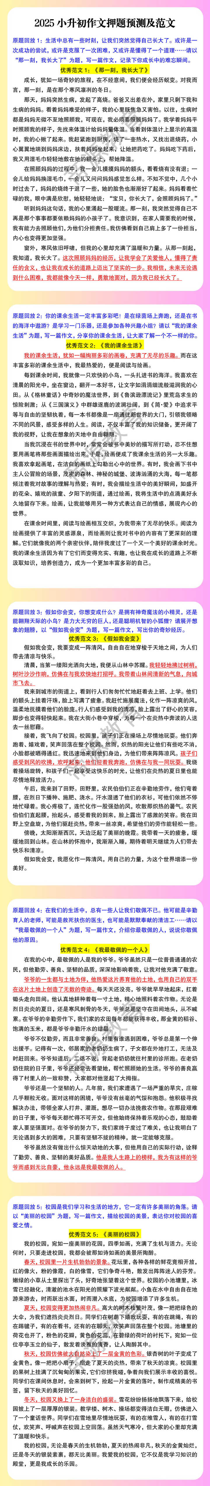 2025小升初作文押题预测及范文