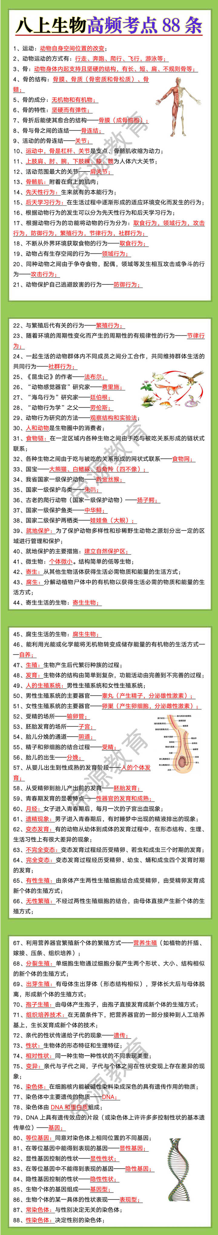 八上生物高频考点88条