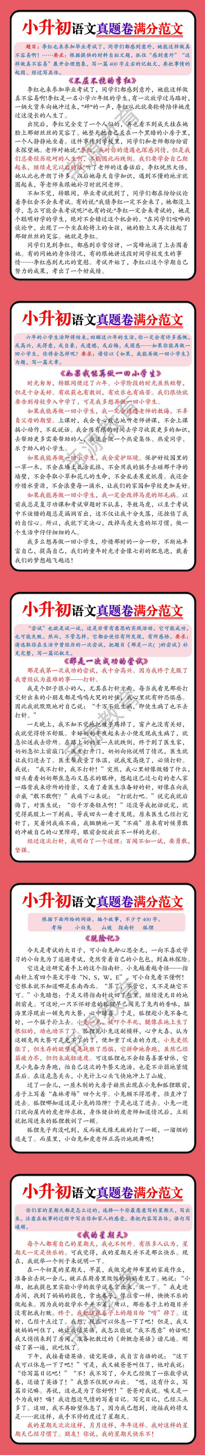 小升初语文真题卷满分范文