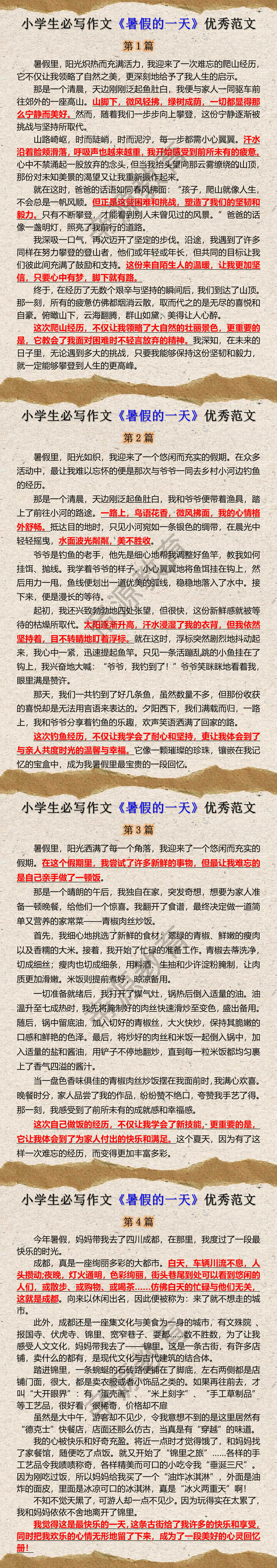 小学生必写作文《暑假的一天》优秀范文
