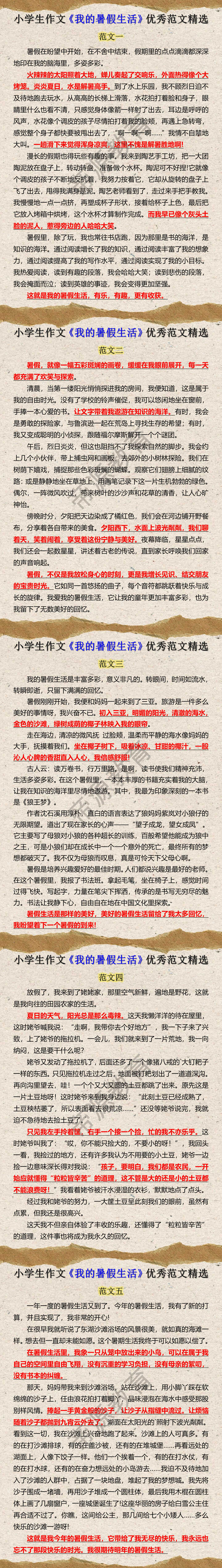 小学生作文《我的暑假生活》优秀范文