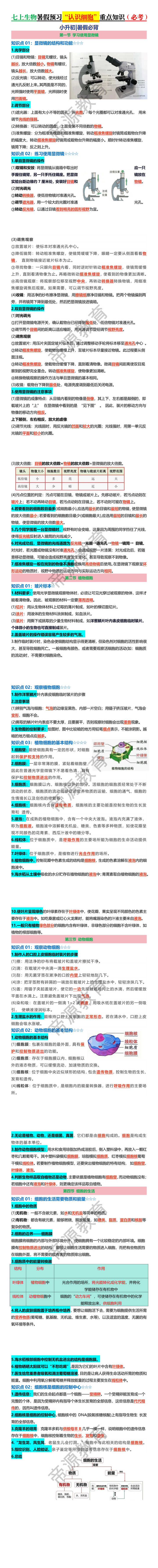 七上生物暑假预习“认识细胞”重点知识（必考）